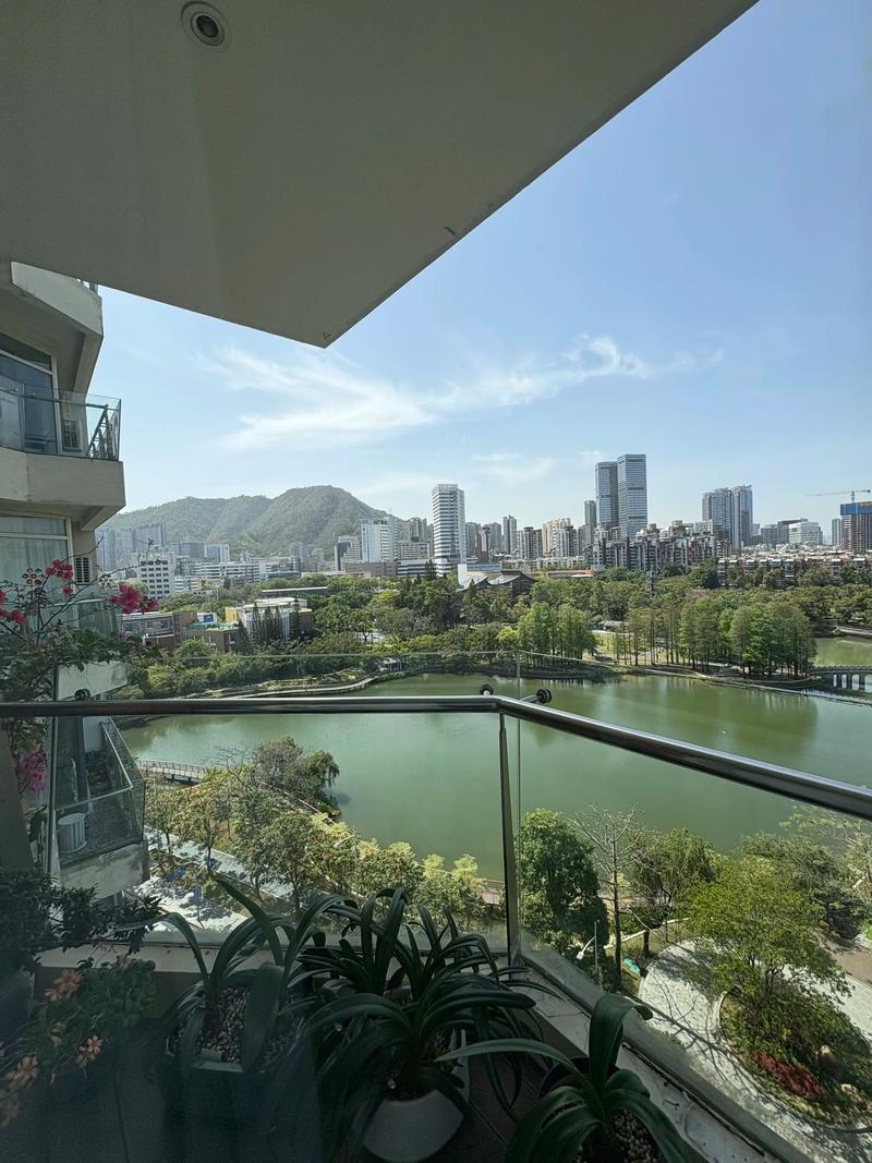 深圳房产投资分析：一份全面的选购指南